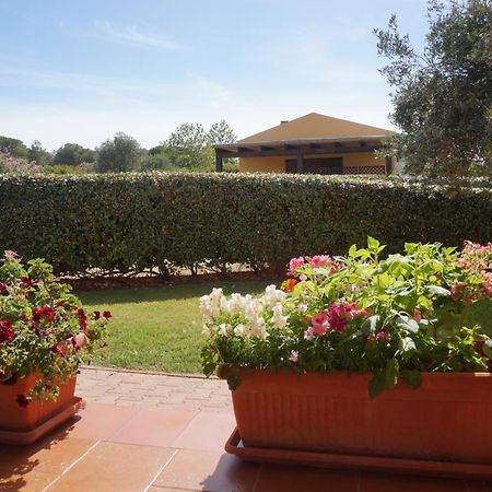 Villa Rosanna Alghero Esterno foto