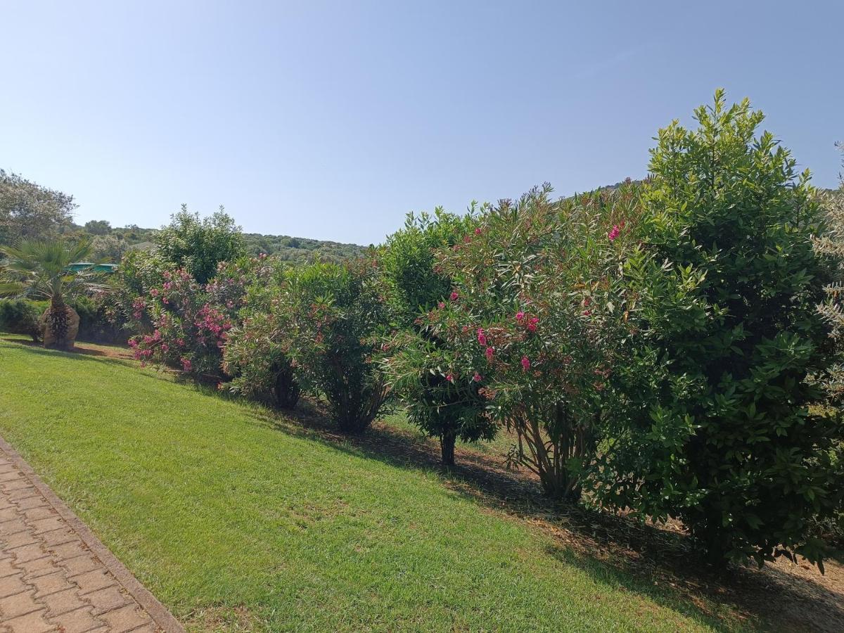 Villa Rosanna Alghero Esterno foto