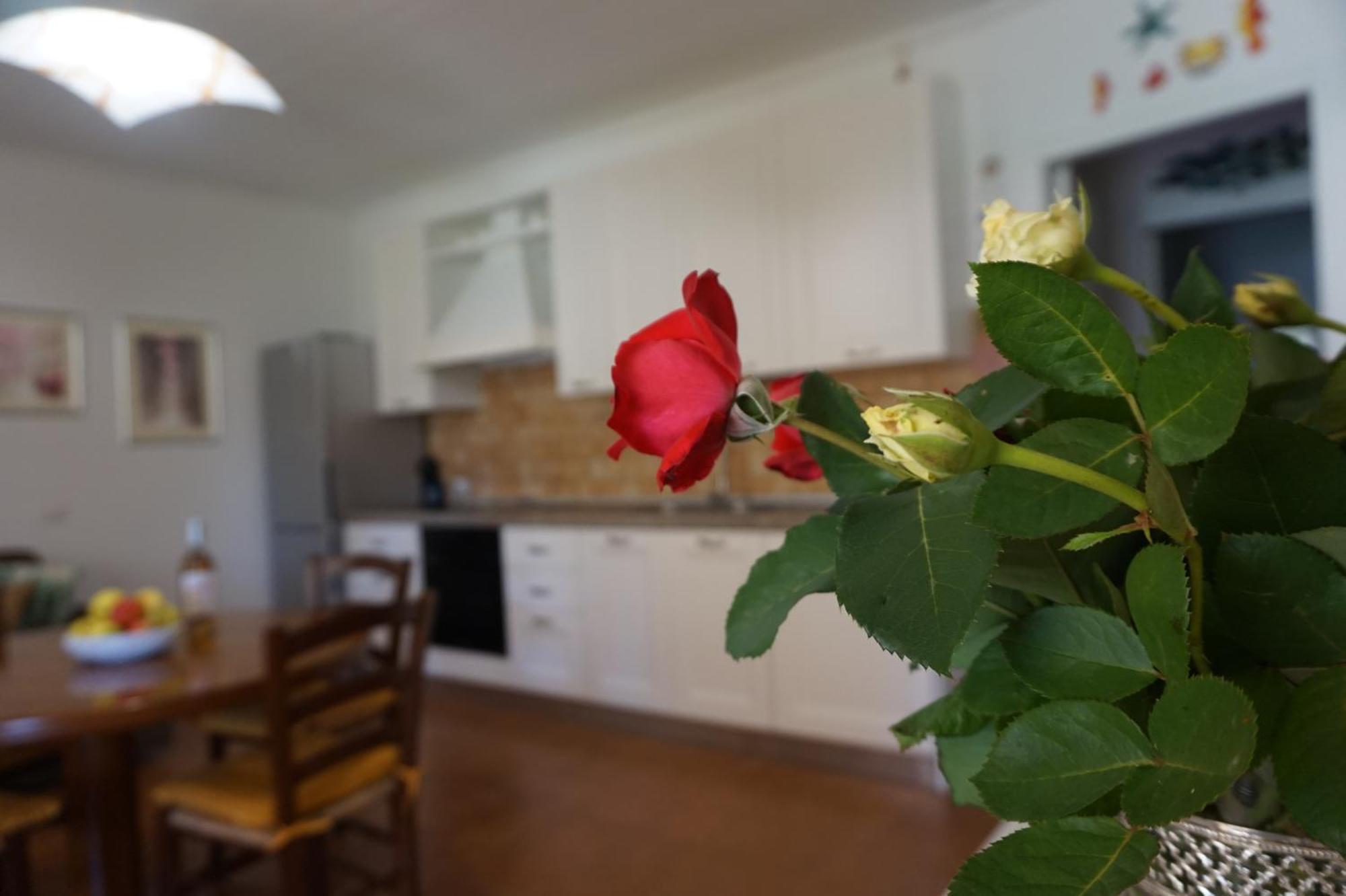 Villa Rosanna Alghero Esterno foto