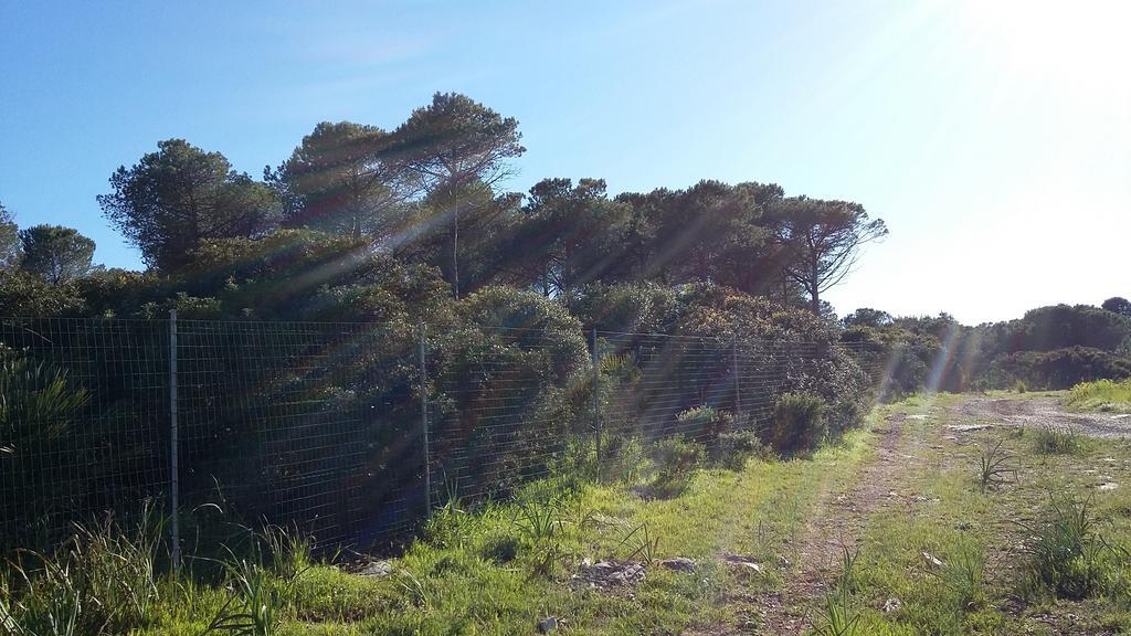 Villa Rosanna Alghero Esterno foto
