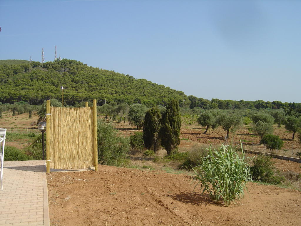 Villa Rosanna Alghero Camera foto